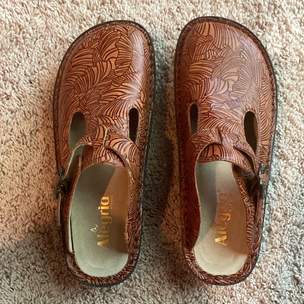 Alegria Clogs (worn only couple times) color:Tobacco Leaf